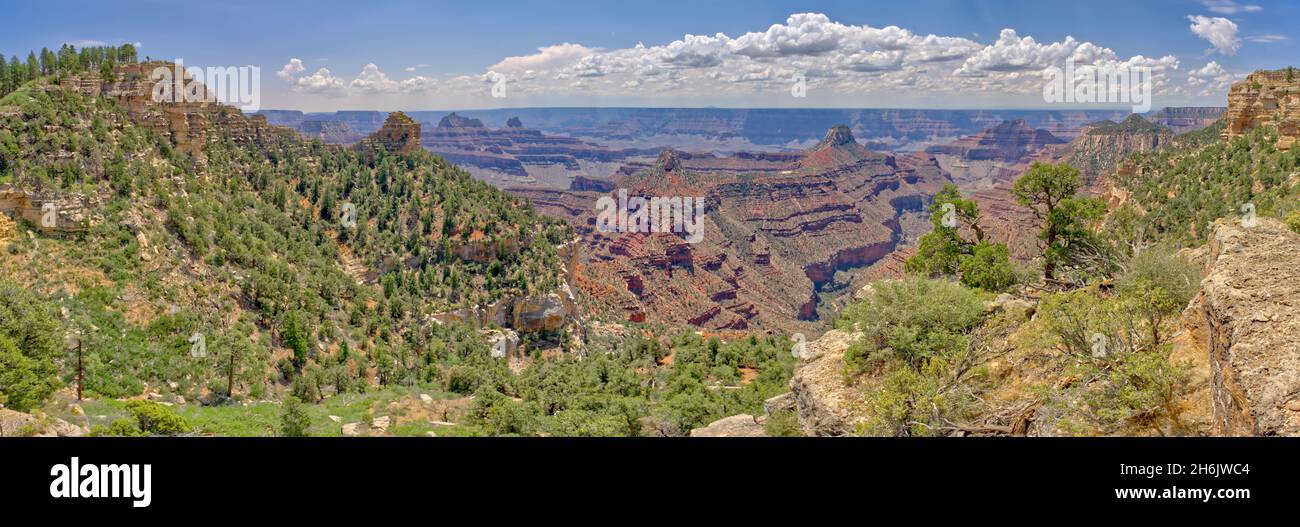 Vue panoramique du Grand Canyon depuis Widforss point sur le plateau nord, site classé au patrimoine mondial de l'UNESCO, Arizona, États-Unis d'Amérique, Amérique du Nord Banque D'Images