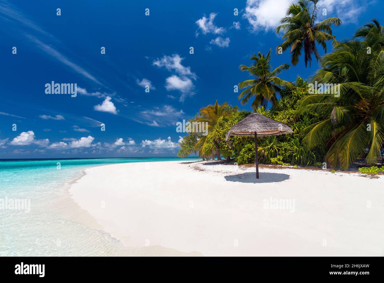 Maldives plage, lagune et palmiers, les Maldives, Océan Indien, Asie Banque D'Images