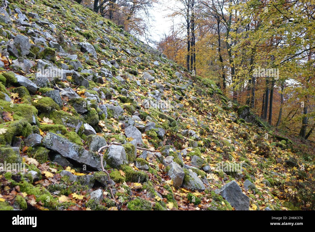 Impressionnant fort de colline celtique d'Otzenhausen (ringwall, Hunnenring) recouvert de mousse verte le jour de l'automne, Otzenhausen, Nonnweiler, Sarre, Allemagne Banque D'Images