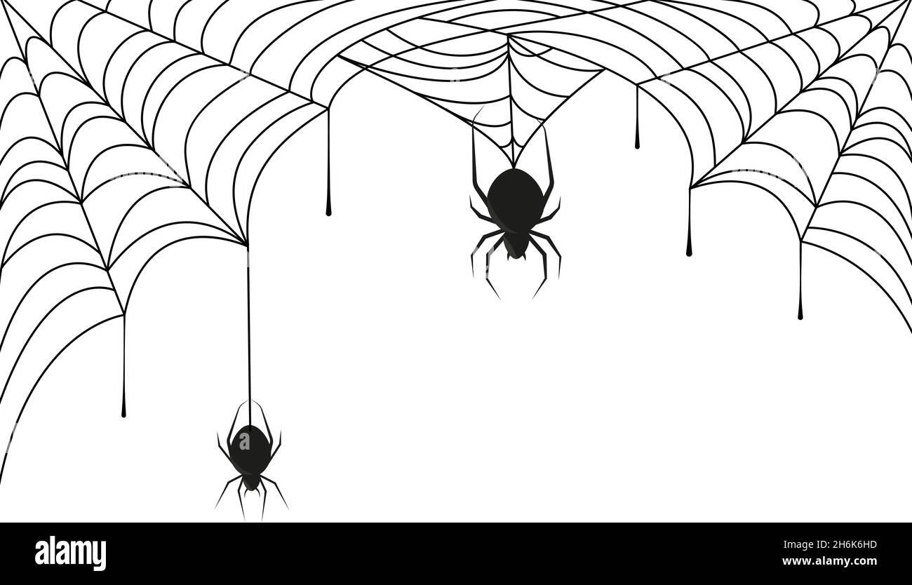 Araignée sur toile d'araignée noire.Halloween arrière-plan ou cadre
