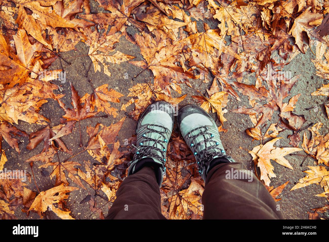 Jambes pour femmes vêtues de chaussures de sport debout sur des feuilles d'érable orange sèches.Partie anatomique.Marche dans le parc automnal.Concept de la saison d'automne. Banque D'Images