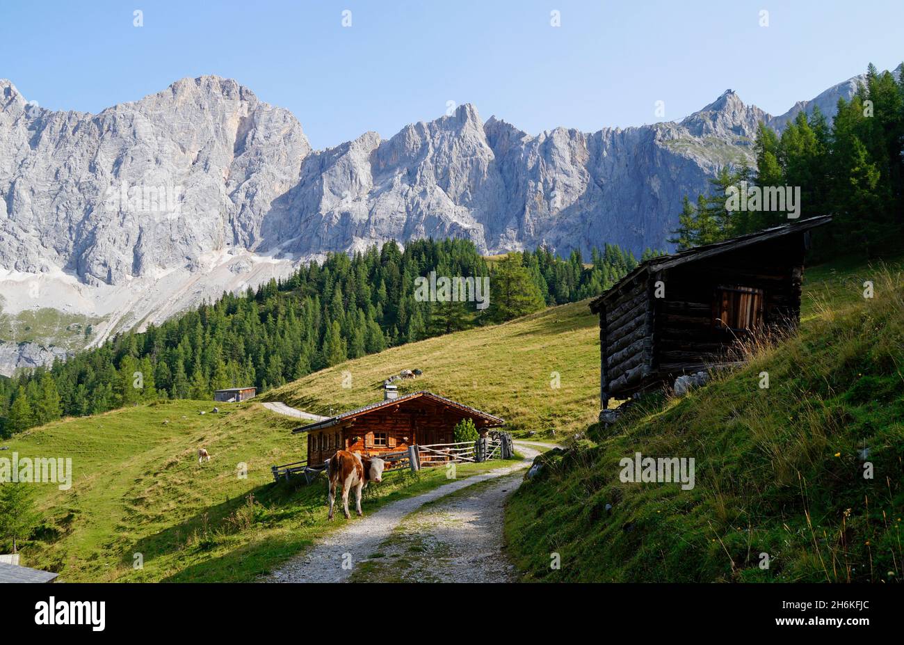 Un chemin menant à travers le paysage alpin avec des chalets en rondins dans la région de Dachstein en Autriche (Neustatt Alm en Styrie) Banque D'Images