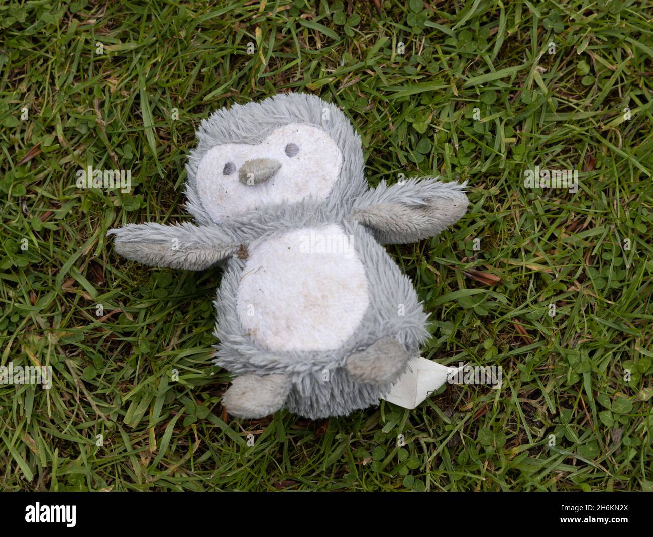jouet doux préféré d'oiseau doux perdu sur l'herbe Banque D'Images