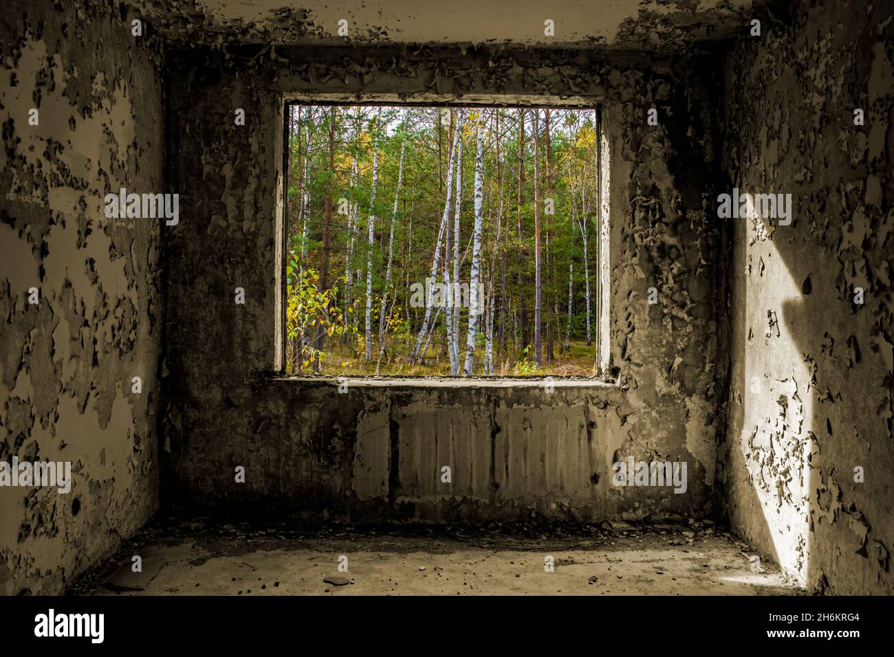 Vue à travers le trou pour une fenêtre dans une maison de panneau abandonnée endommagée. Banque D'Images