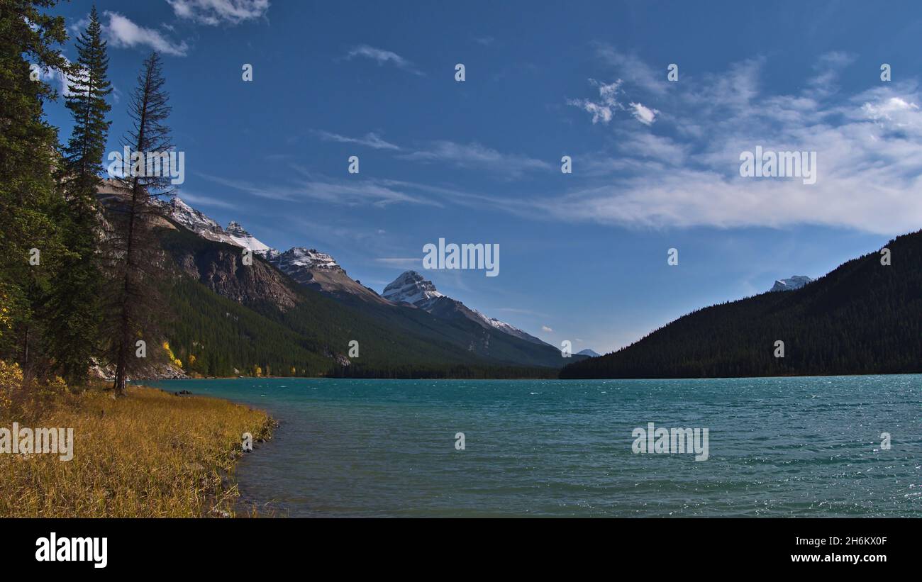 Vue magnifique sur le lac Waterfowl dans le parc national Banff, Alberta, Canada avec eaux turquoise chatoyantes, herbe jaune et montagnes Rocheuses enneigées. Banque D'Images