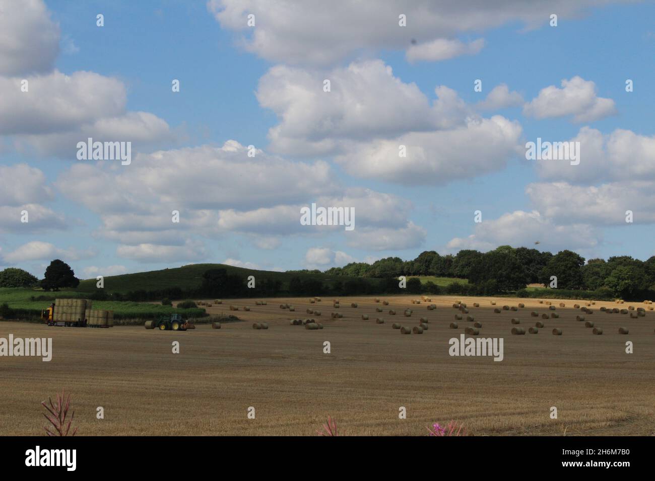 Des balles de foin rondes sont empilées sur un camion par un tracteur pour le transport hors du champ, le jour d'été près de Wakefield West Yorkshire, au Royaume-Uni Banque D'Images