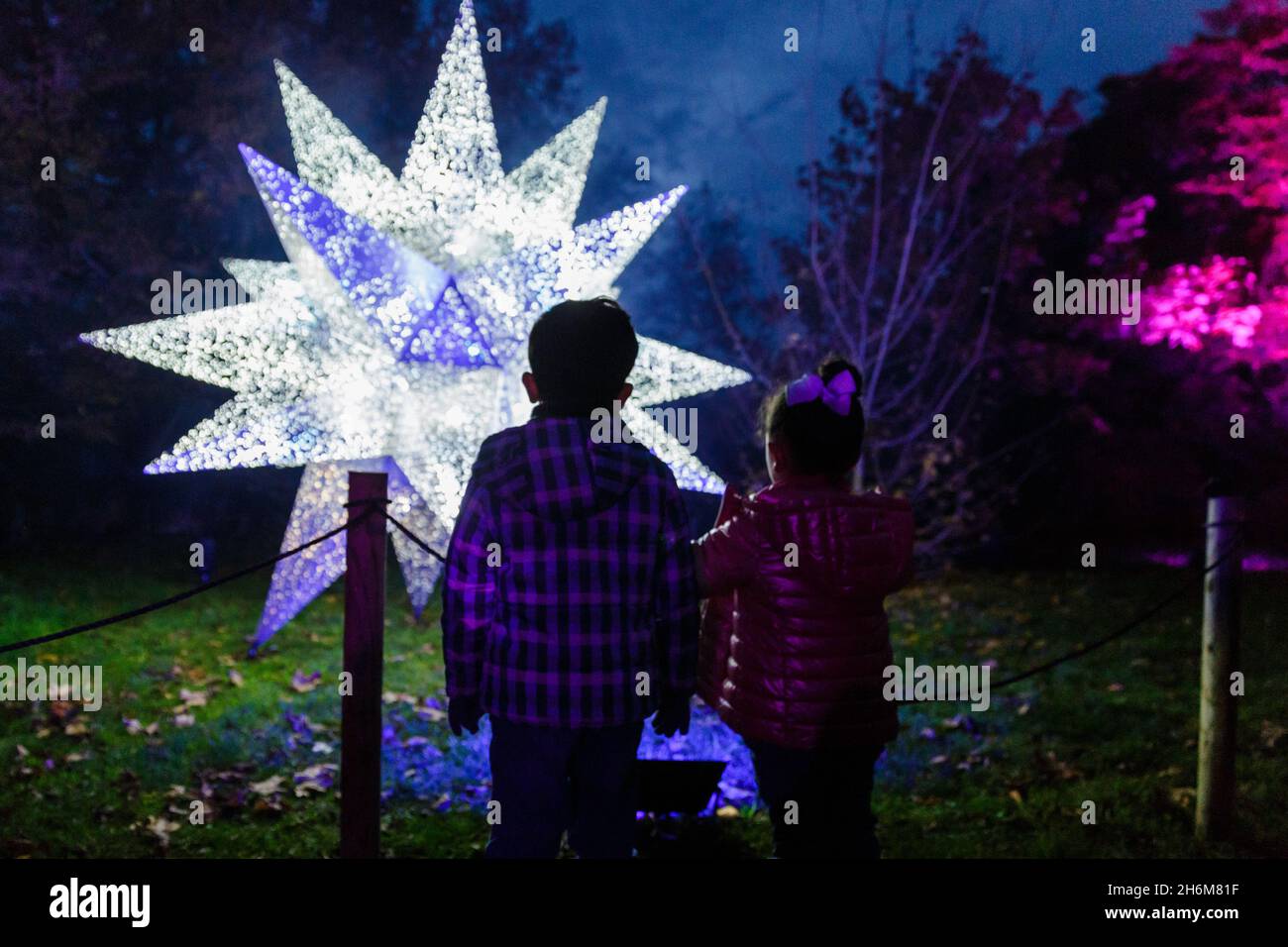 Kew Gardens, Richmond, Royaume-Uni.16 novembre 2021.Plus d'un million de lumières scintillantes illuminent les célèbres jardins de Kew tandis que leur exposition de lumière de Noël revient pour une 9e année.Noël à Kew se déroule du mercredi 17 novembre 2021 au dimanche 9 janvier 2022 Amanda Rose/Alamy Live News Banque D'Images