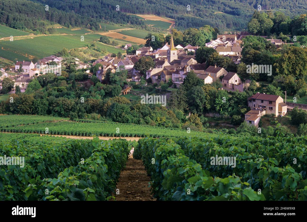 Vue d'ensemble des vignobles et de la ville, Pernand-Vergelesses, Côte de Beaune, Bourgogne, France Banque D'Images