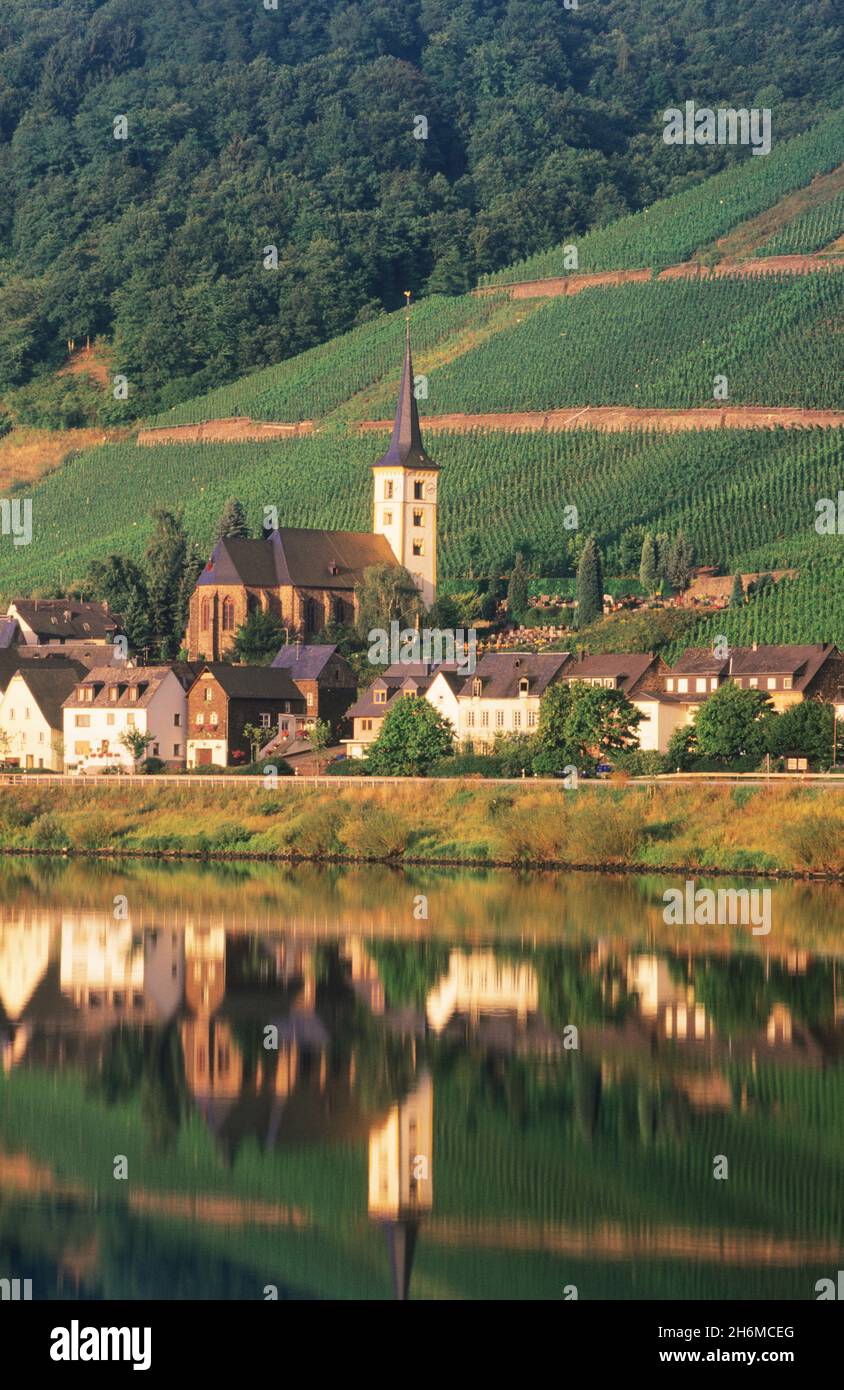 Ville de Bremm reflétée dans la rivière Mosel, Rhénanie-Palatinat, Allemagne Banque D'Images