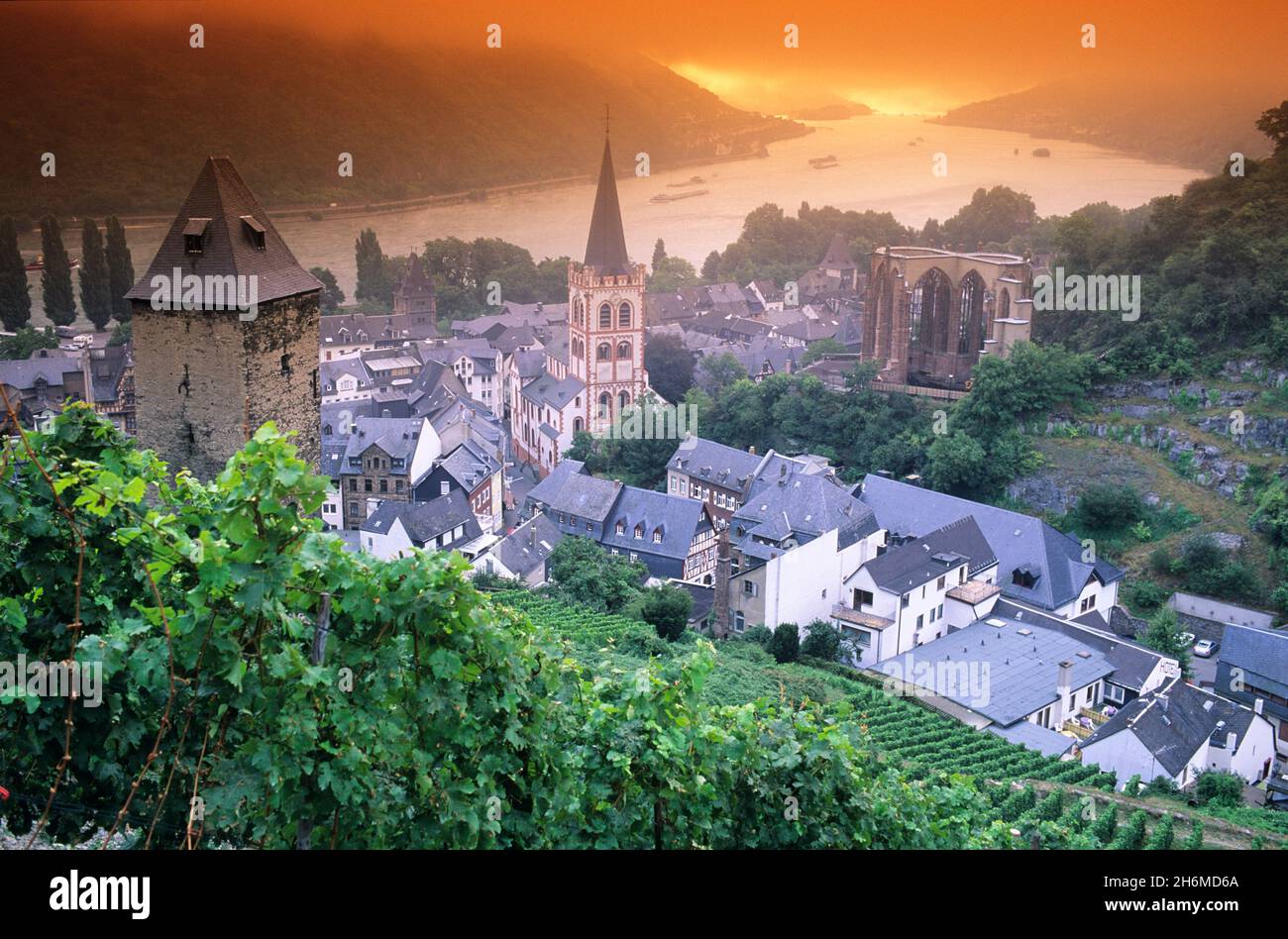 Vue d'ensemble de la Bacharach et du Rhin à Sunrise, Rhénanie-Palatinat, Allemagne Banque D'Images