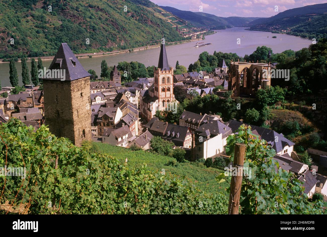 Vue d'ensemble de la Bacharach et du Rhin, Rhénanie-Palatinat, Allemagne Banque D'Images