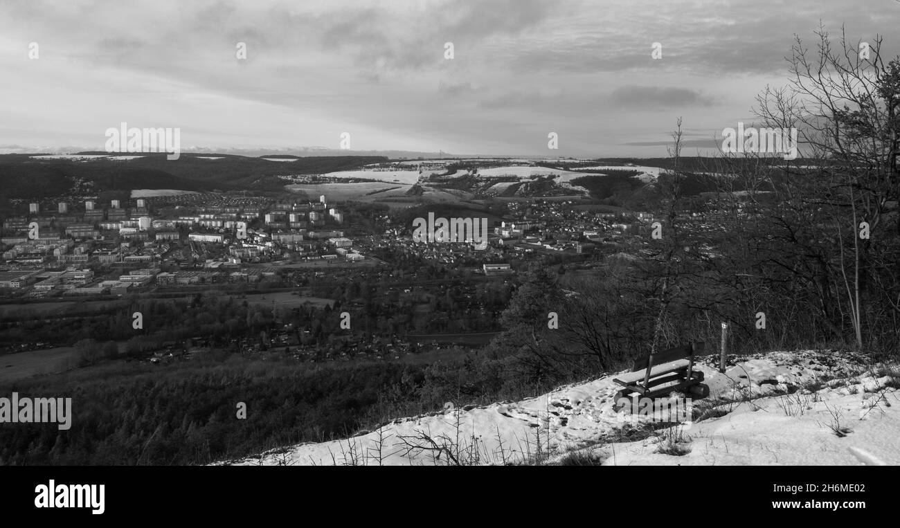 Jena hiver jenzig paysage noir et blanc arrière-plan point de vue 2020 copyspace Banque D'Images
