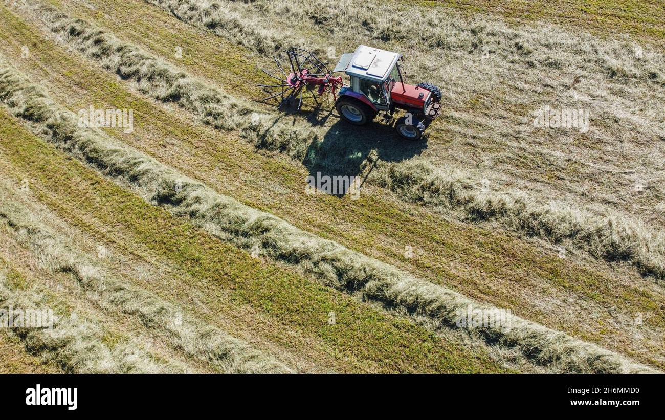 Drone BirdsEye aérien perspective d'une récolteuse pendant la récolte estivale dans le sud de la France. Banque D'Images