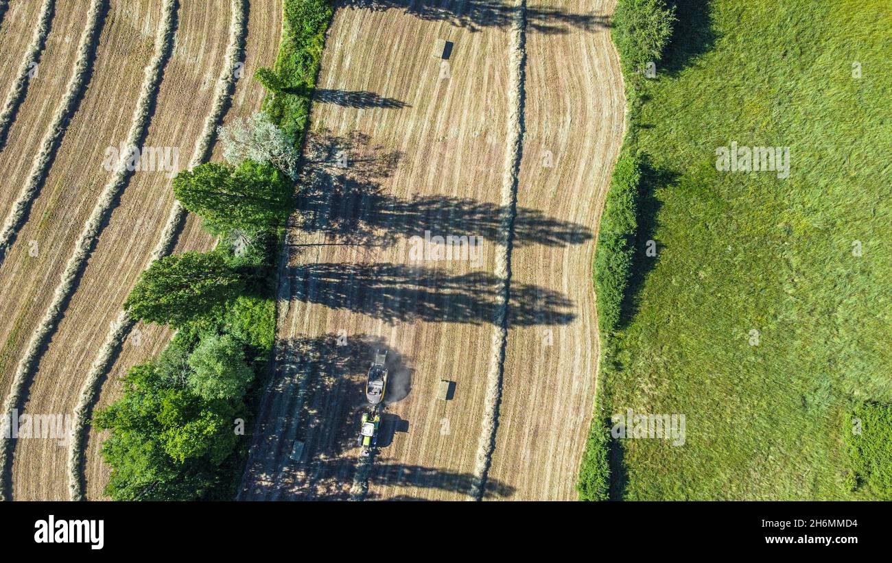 Drone BirdsEye aérien perspective d'une récolteuse pendant la récolte estivale dans le sud de la France. Banque D'Images