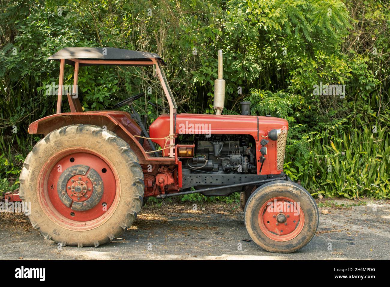 Vieux tracteur par des arbres verts dans une zone rurale Banque D'Images