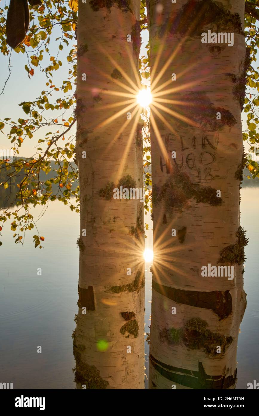 Vue panoramique au beau coucher du soleil de printemps sur un lac brillant avec des branches vertes, des bouleaux, des buissons, de l'herbe, des rayons de soleil dorés,eau calme, bleu foncé nuageux Banque D'Images