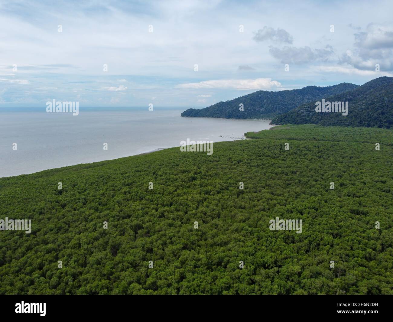 Vue aérienne de la forêt de mangroves sur la côte de mer près de Sungai Pinang, Penang Banque D'Images