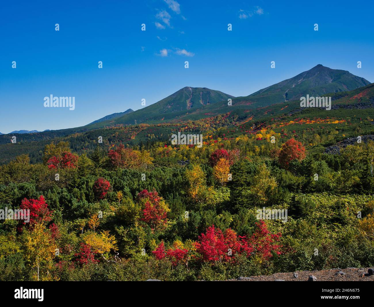 Feuillages d'automne de l'Observatoire de Mt.Tokachi, Hokkaido, Japon Banque D'Images