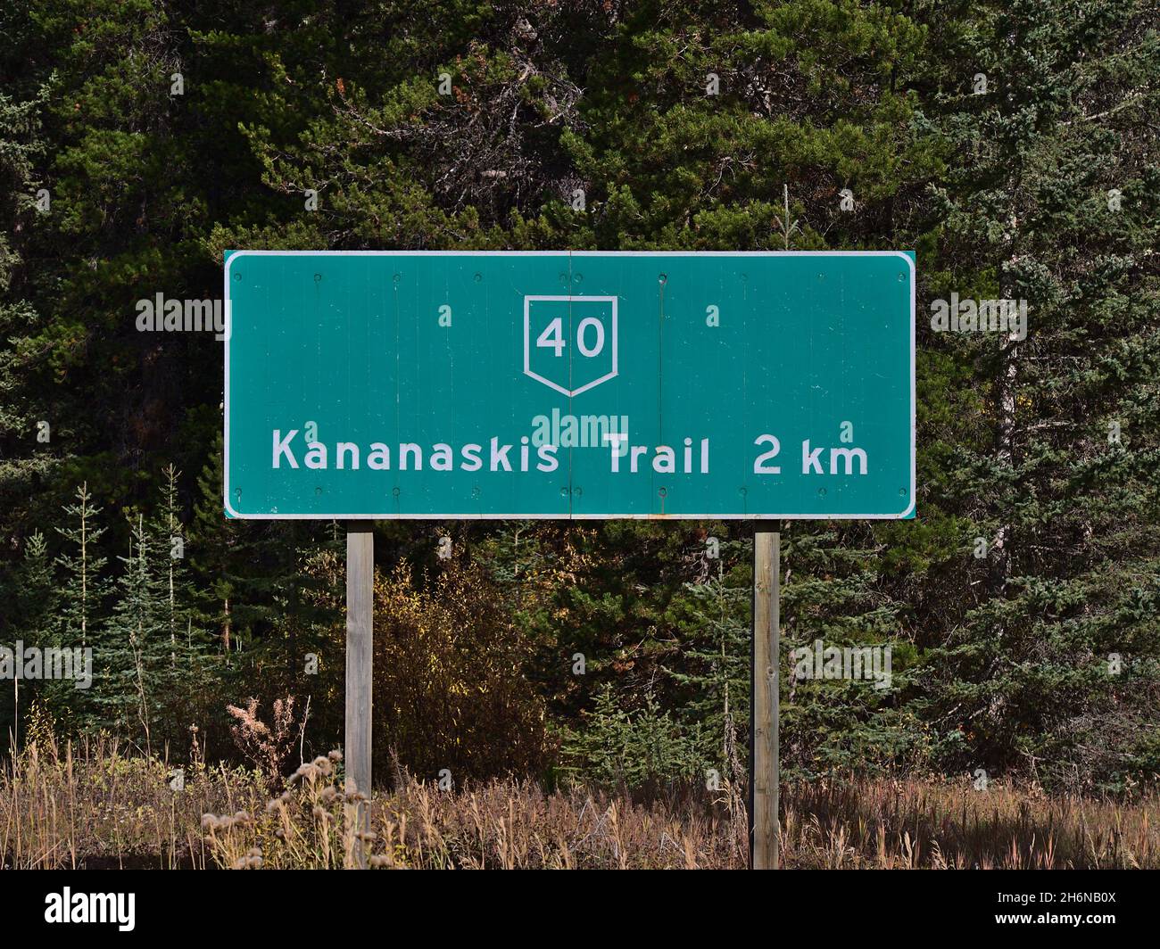 Vue en gros plan de la signalisation routière avec texte vert et blanc indiquant la distance jusqu'à l'autoroute 40 (sentier Kananaskis) en Alberta, au Canada, dans les Rocheuses. Banque D'Images
