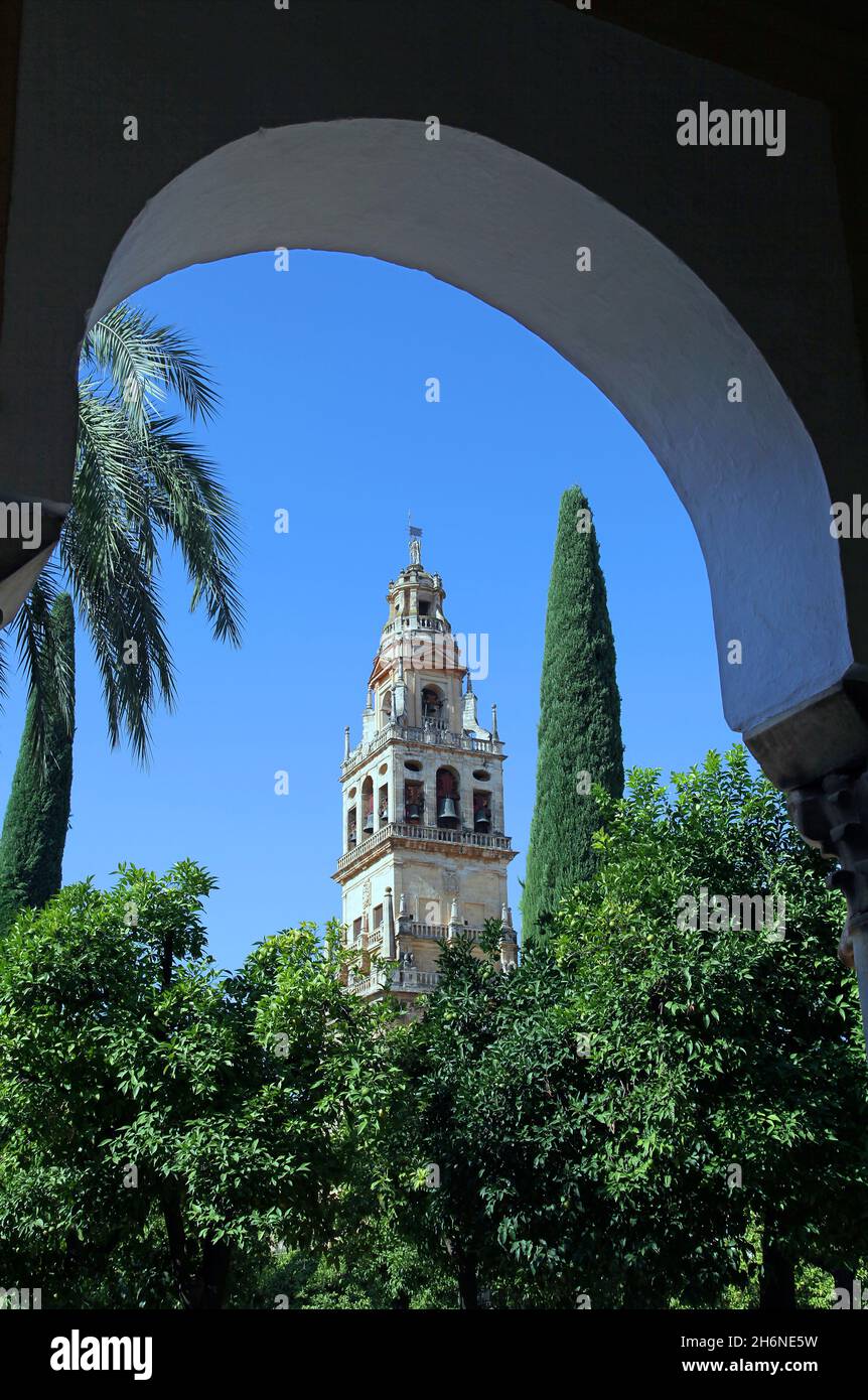 La tour du clocher à la Mezquita de Cordoue Espagne Banque D'Images