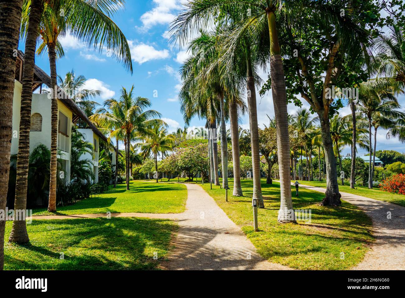 Tropical Resort hôtel plage paradis.Vacances d'été sur la côte de la mer.Splendide vue panoramique sur la belle plage.Vacances de luxe sur l'île Maurice.Palmiers bleu ciel.Photo de haute qualité Banque D'Images