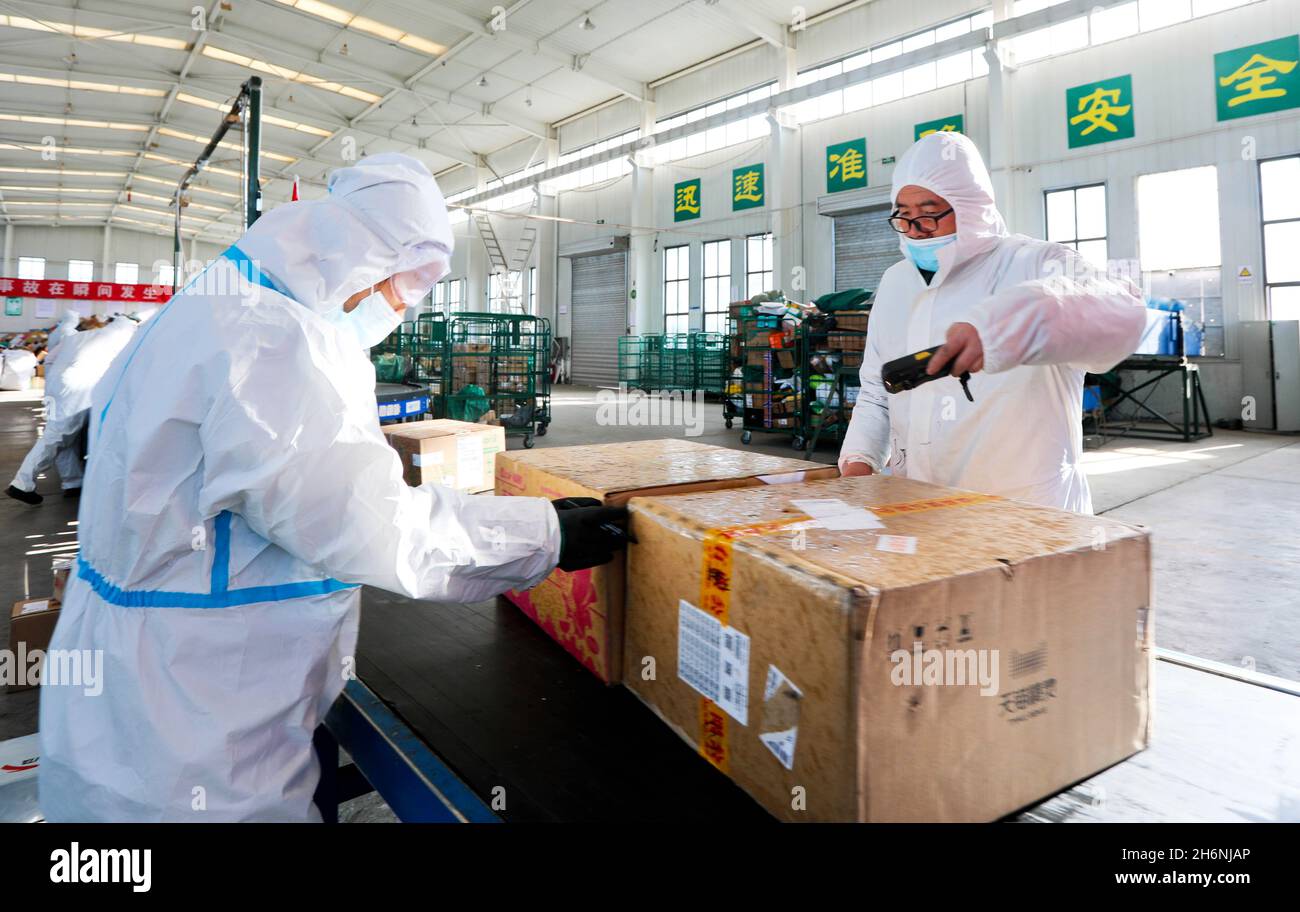 Zhangye, Zhangye, Chine.17 novembre 2021.Le 16 novembre 2021, le personnel du centre de tri postal express de Zhangye City, province de Gansu, inspecte les colis express désinfectés.Le même jour, Zhangye, Gansu a repris son service de livraison postale.Des sociétés express comme Zhangye City Post Express et Shunfeng ont effectué une désinfection stricte des véhicules pour plus de 300,000 colis express bloqués à Lanzhou, des codes de test de température du personnel, la prévention et l'élimination des épidémies de courrier express et la traçabilité.Après l'identification et l'inspection et d'autres épidémiques prévenir Banque D'Images