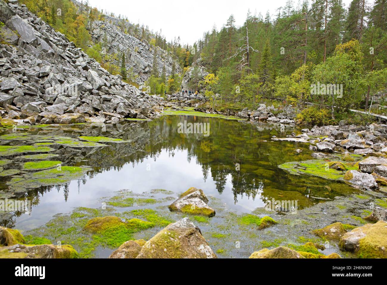 Lac dans le parc national de Pyhae-Luosto, Laponie, Finlande Banque D'Images