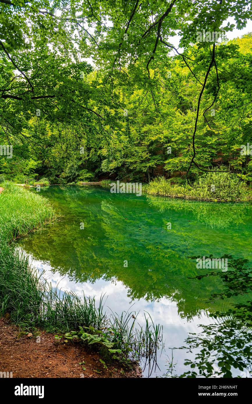 Beau lac dans la réserve naturelle de Grza, Serbie Banque D'Images