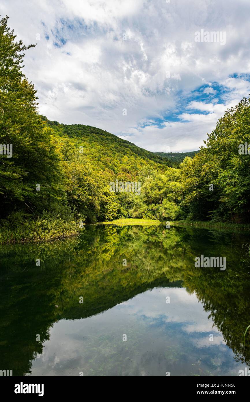 Beau lac dans la réserve naturelle de Grza, Serbie Banque D'Images