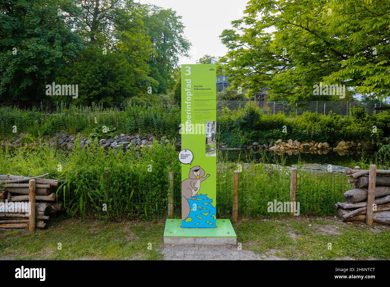 Beaver Trail, panneau d'information, Friedrichsau, Ulmer Prater, Ulm,Bade-Wurtemberg, Allemagne Banque D'Images