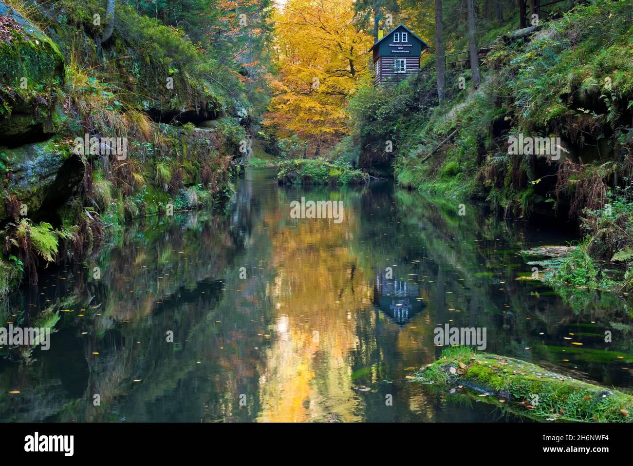 Automne dans la gorge Edmundsklamm avec la rivière Kamenice (Kamnitz allemand), zone centrale Saxon Bohemian Suisse National Park, grès d'Elbe Banque D'Images