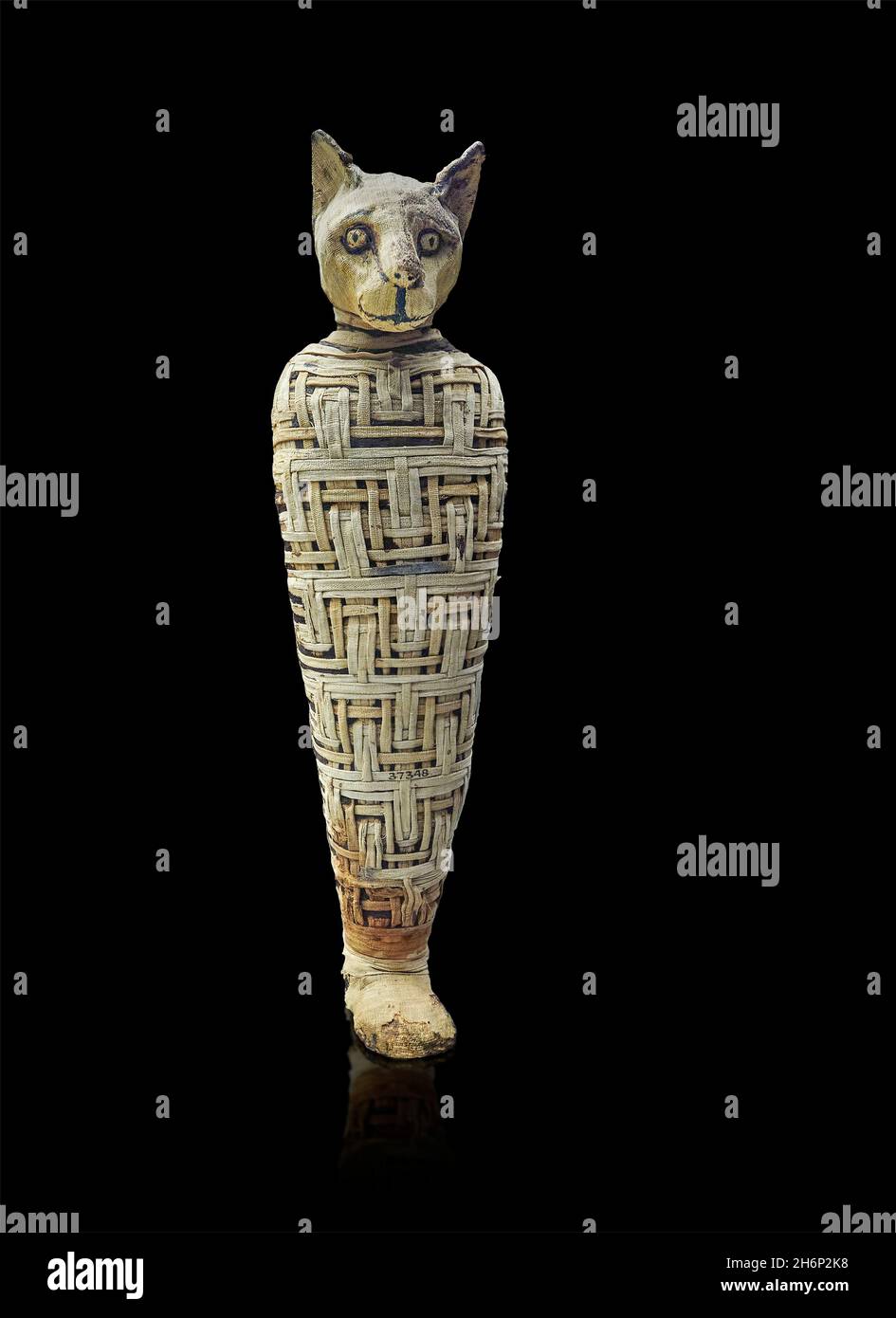 Momie romaine de chat égyptien, après 30 av. J.-C. période romaine, Abydos.Musée britannique EA37348.Momie de chat; enveloppements de lin disposés dans un motif géométrique.Len Banque D'Images