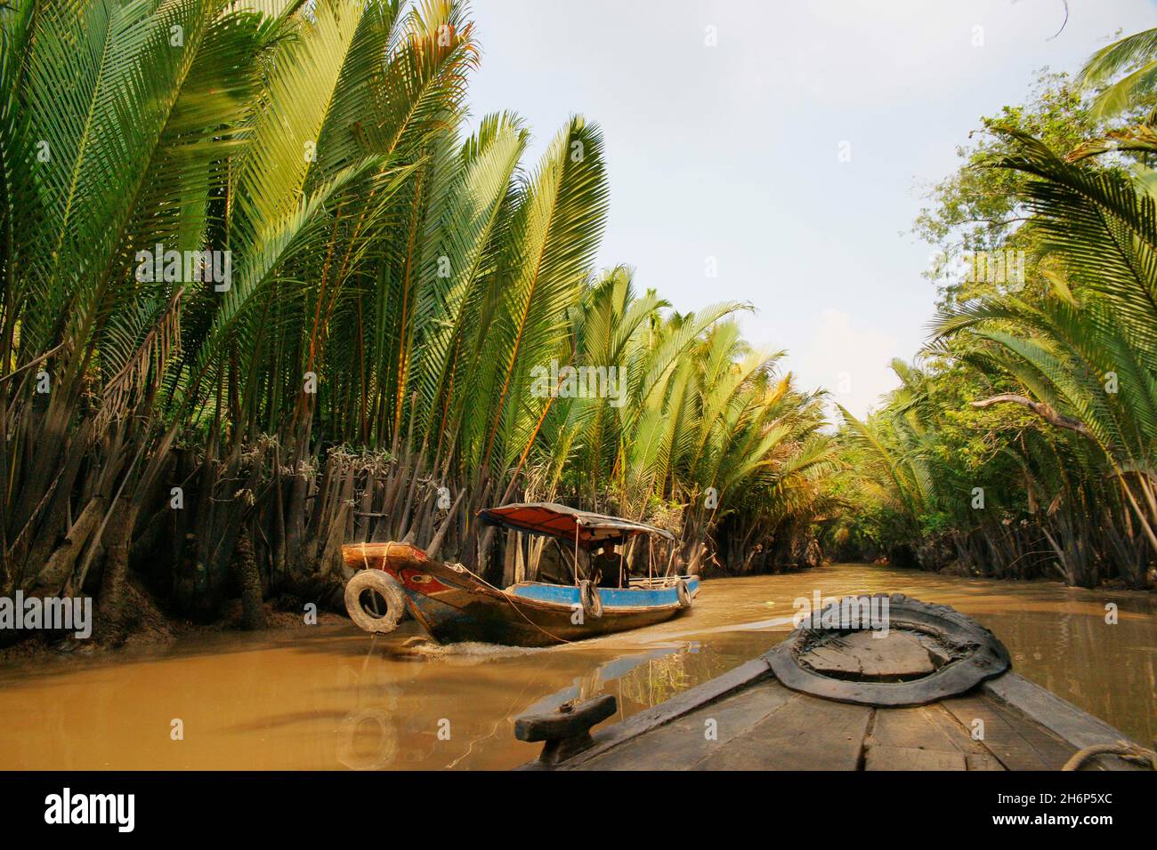 VIETNAM.AU SUD DU VIETNAM, PRÈS DE LA VILLE MON THO, DU DELTA DU MÉKONG ET DES COCOTIERS Banque D'Images