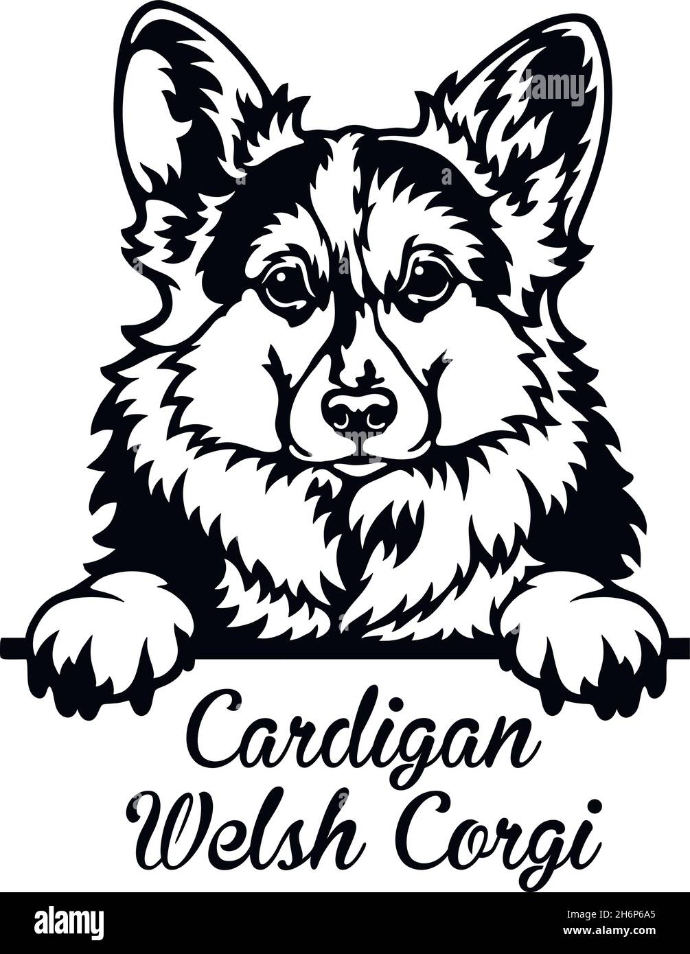 Cardigan Welsh Corgi Peeking Dog - tête isolée sur blanc - vecteur stock Illustration de Vecteur