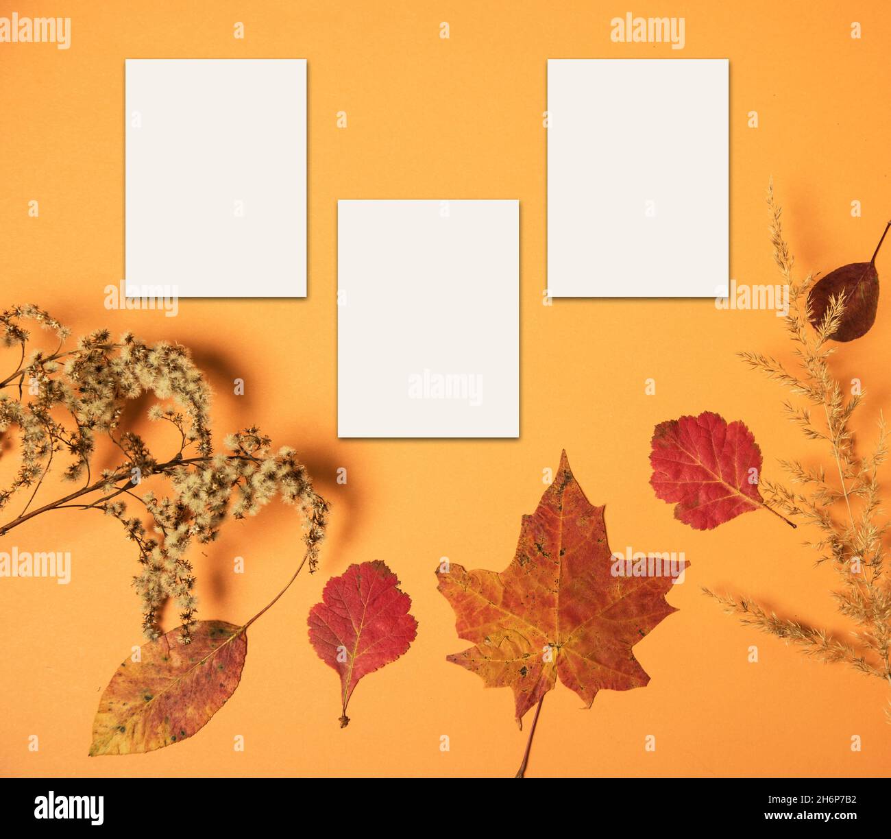 Trois feuilles pour des notes sur un fond orange d'automne avec des feuilles d'automne. Banque D'Images