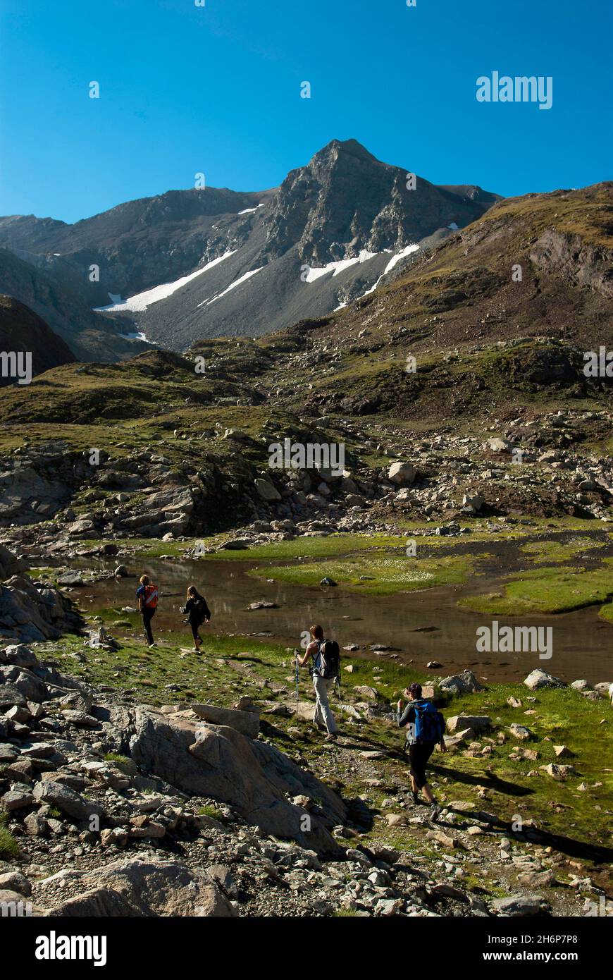 FRANCE, HAUTES PYRÉNÉES, VALLÉE DE L'AURE, ARAGNOUET, PARC NATIONAL DES PYRÉNÉES-OUEST, CAP DE LONG, GROUPE DE RANDONNEURS GRIMPANT JUSQU'AU SOMMET DE CAMPBIEIL (BACKGRO Banque D'Images