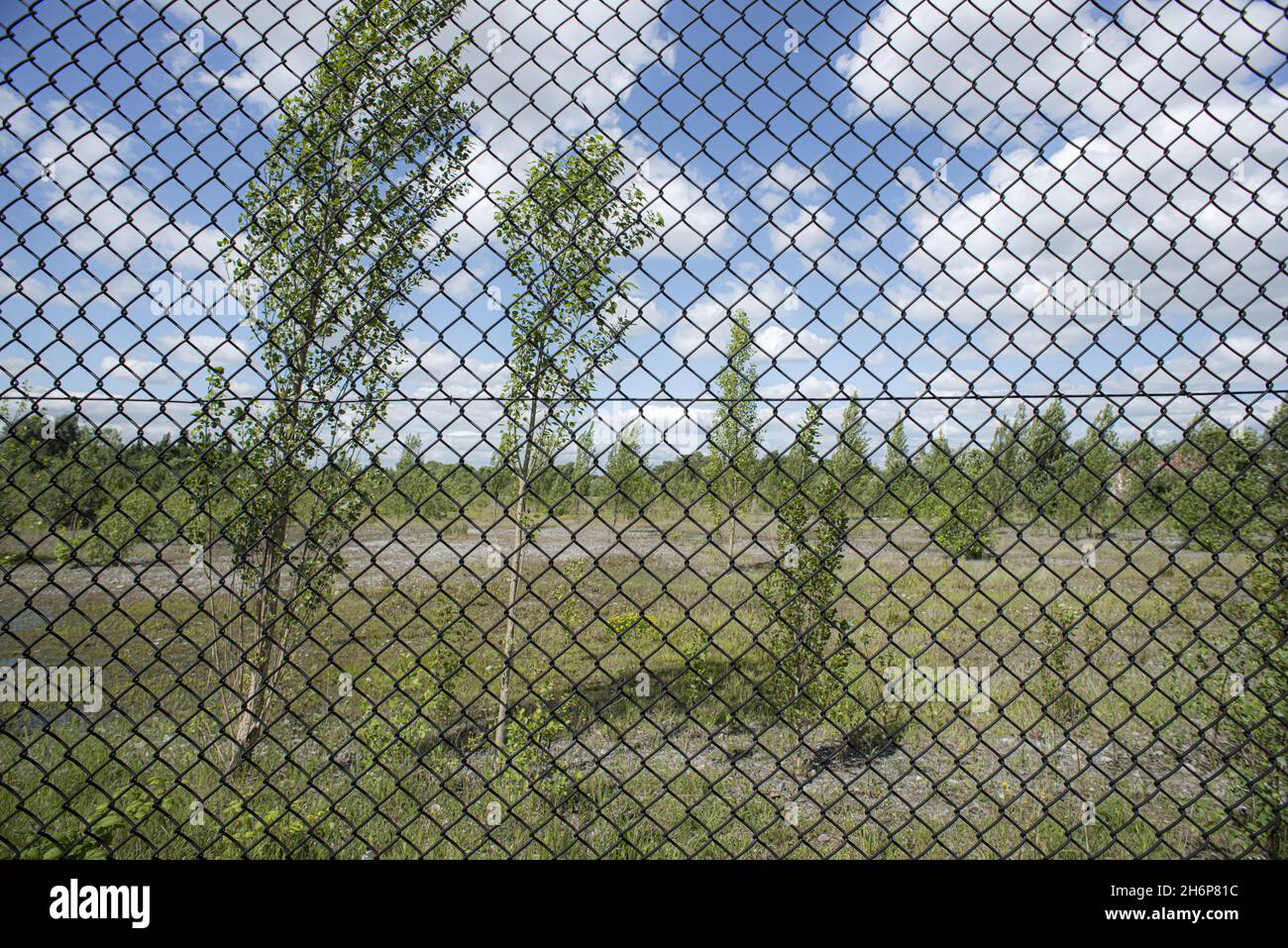 Terrain vacant derrière la clôture. Banque D'Images