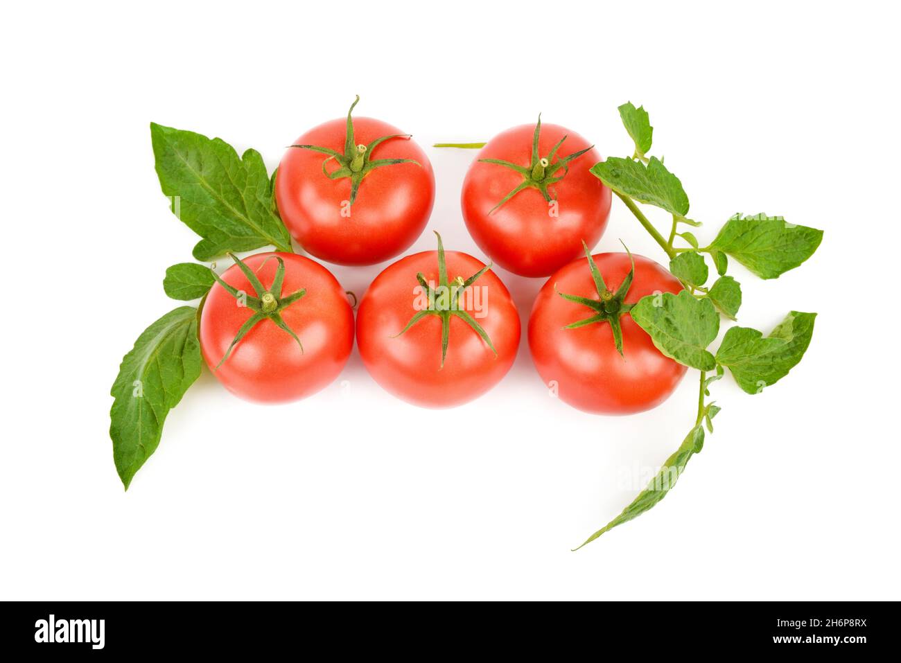Tomates fraîches appétissantes isolées sur fond blanc. Banque D'Images