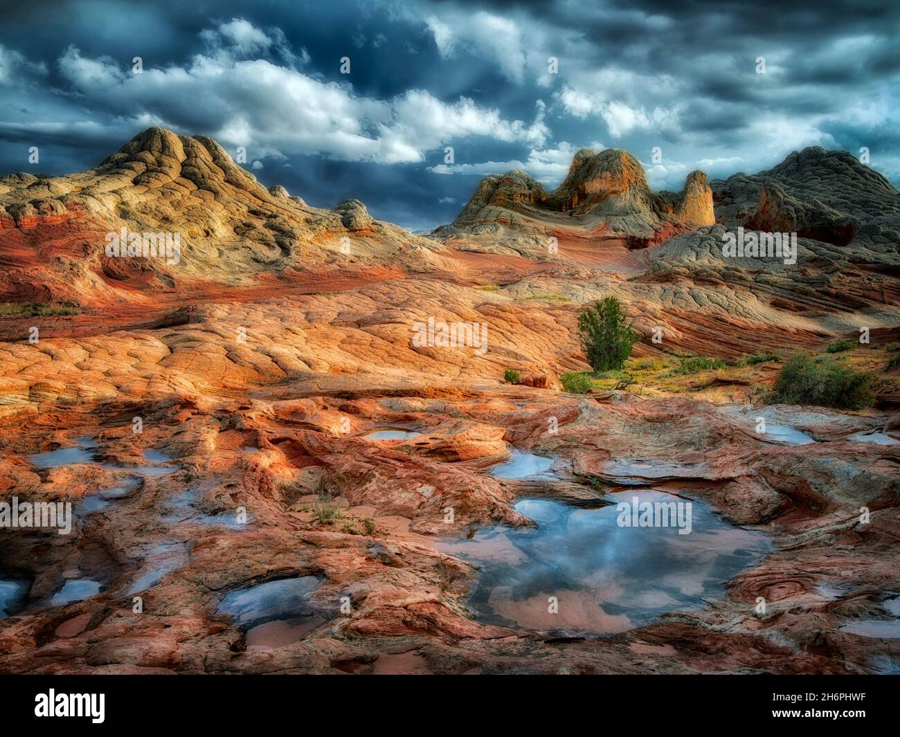 Pocket blanc avec l'eau de pluie piscines. Vermilion Cliffs National Monument, Arizona Banque D'Images