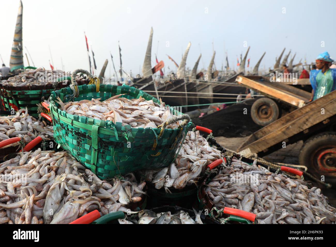 Chittagong, Bangladesh.17 novembre 2021.Le poisson au marché de la pêche Ghat à Chittagong.Fishery Ghat, le plus grand marché de poissons de la ville portuaire, est l'un des principaux centres Hilsa du pays, il joue un rôle essentiel dans l'économie bangladaise.Pêche le Ghat est un centre de bonheur et d'espoir pour les pêcheurs, les vendeurs et les moyens de subsistance liés au poisson.Crédit : SOPA Images Limited/Alamy Live News Banque D'Images