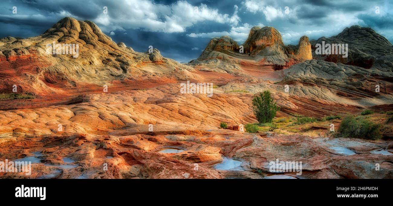 Pocket blanc avec l'eau de pluie piscines. Vermilion Cliffs National Monument, Arizona Banque D'Images