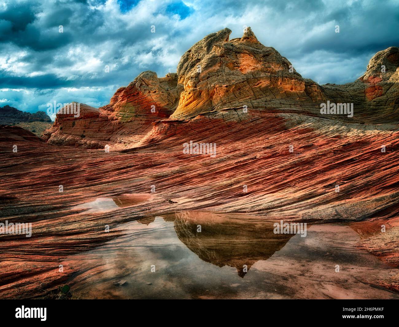 Pocket blanc avec l'eau de pluie piscines. Vermilion Cliffs National Monument, Arizona Banque D'Images