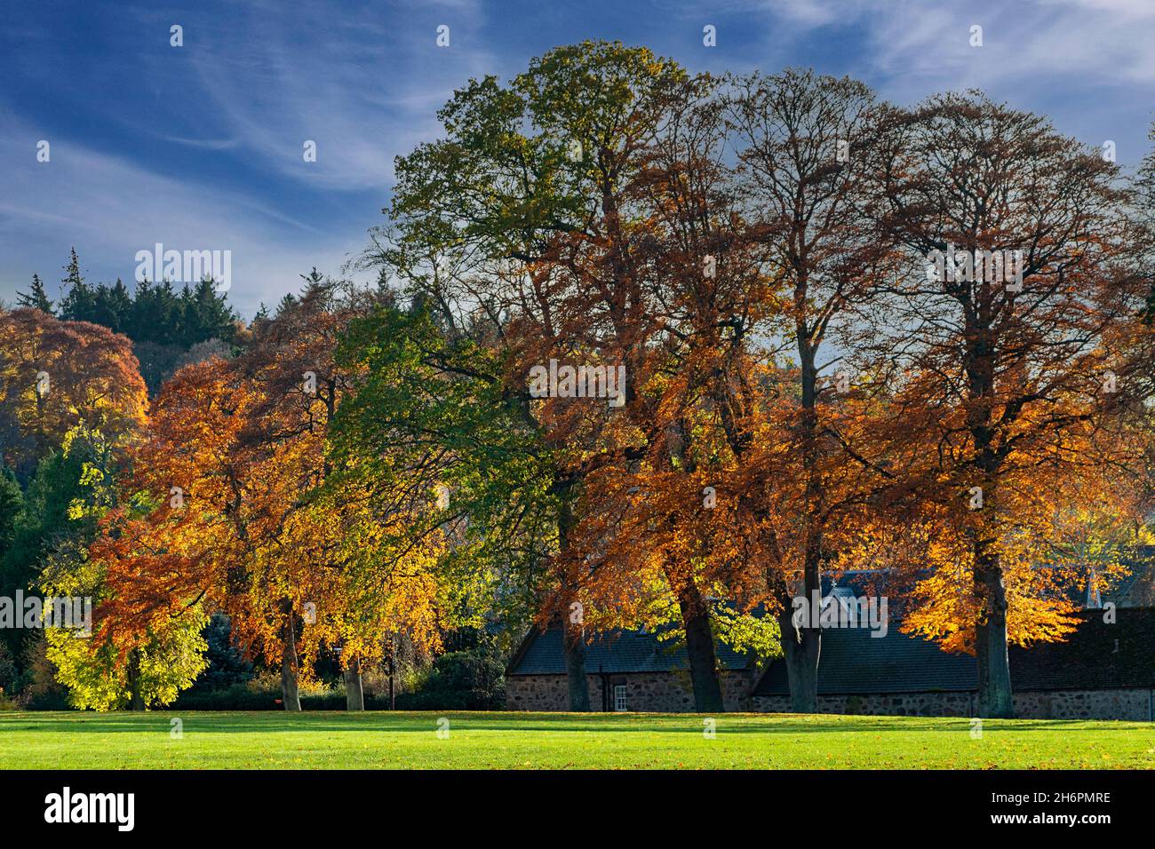 FORRES MORAY ECOSSE MAISONS DANS GRANT PARK ET ARBRES AVEC DES FEUILLES AUX COULEURS AUTOMNALES Banque D'Images