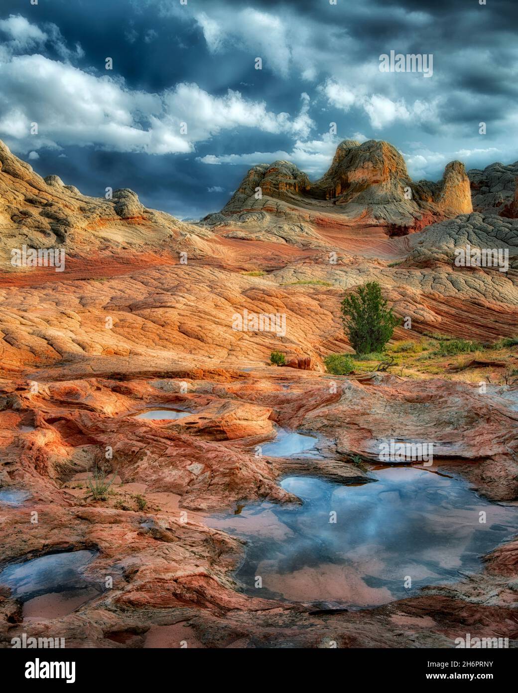 Pocket blanc avec l'eau de pluie piscines. Vermilion Cliffs National Monument, Arizona Banque D'Images
