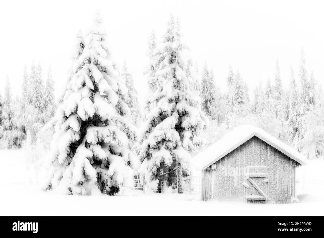 Grange en bois dans une forêt enneigée Banque D'Images