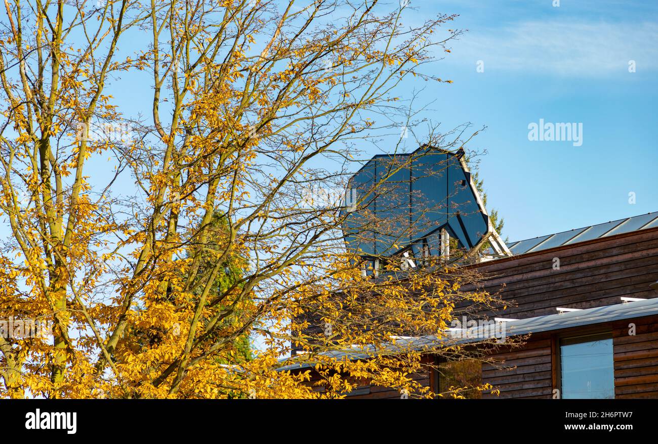 Une photo du logo du zoo d'Ostrava à côté du feuillage d'automne jaune. Banque D'Images