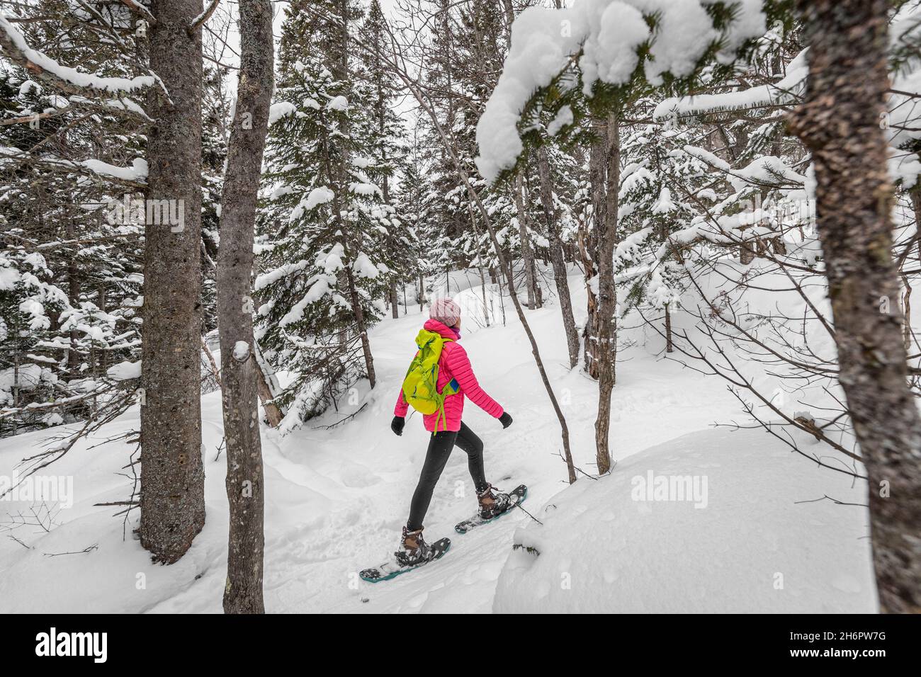 Raquette sur les gens dans la forêt d'hiver avec des arbres couverts de neige le jour de neige.Femme en randonnée dans la neige randonnée en raquettes vivant en plein air actif sain Banque D'Images