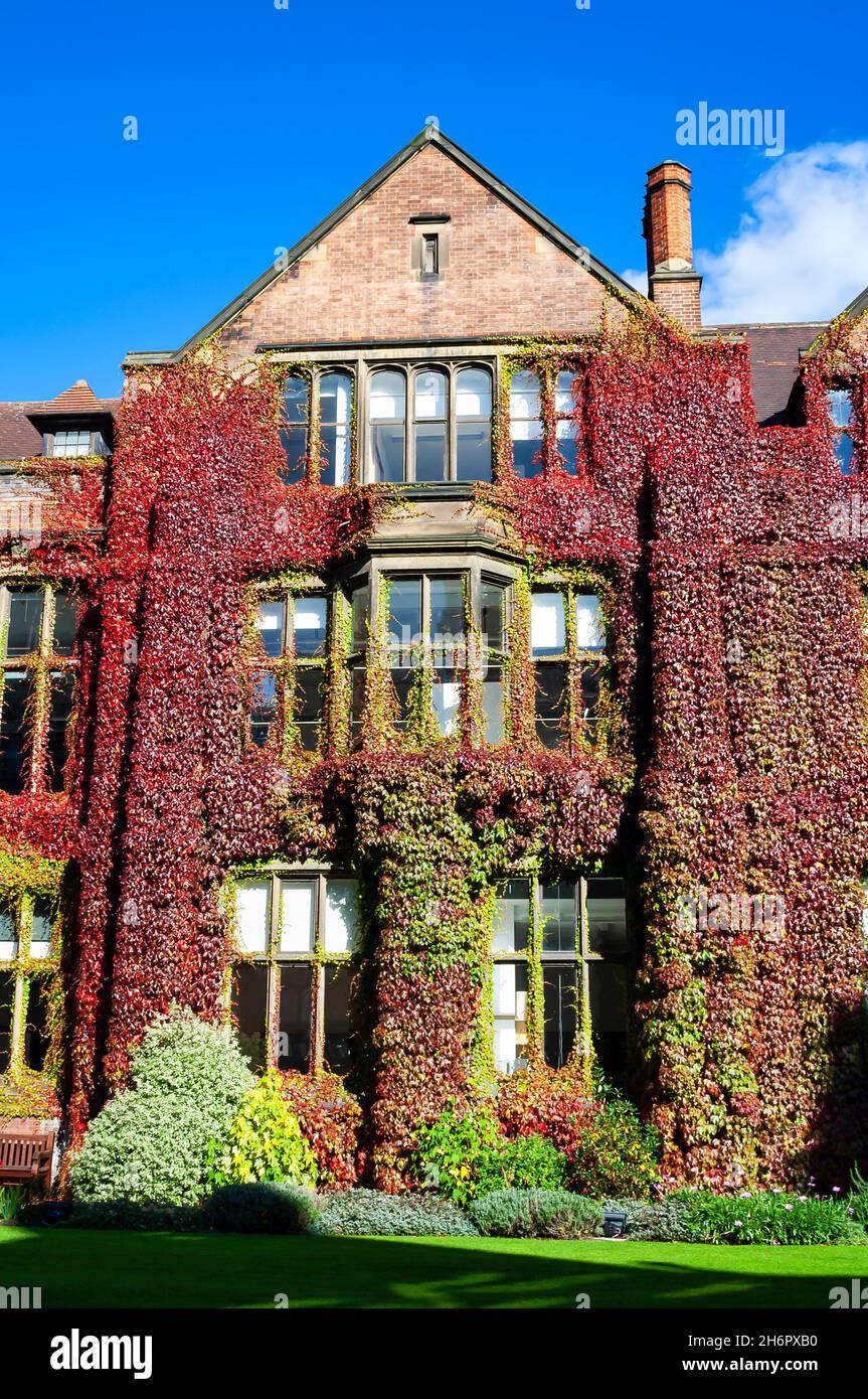 Le bâtiment couvert de lierre de l'École d'architecture de l'Université de Newcastle Banque D'Images