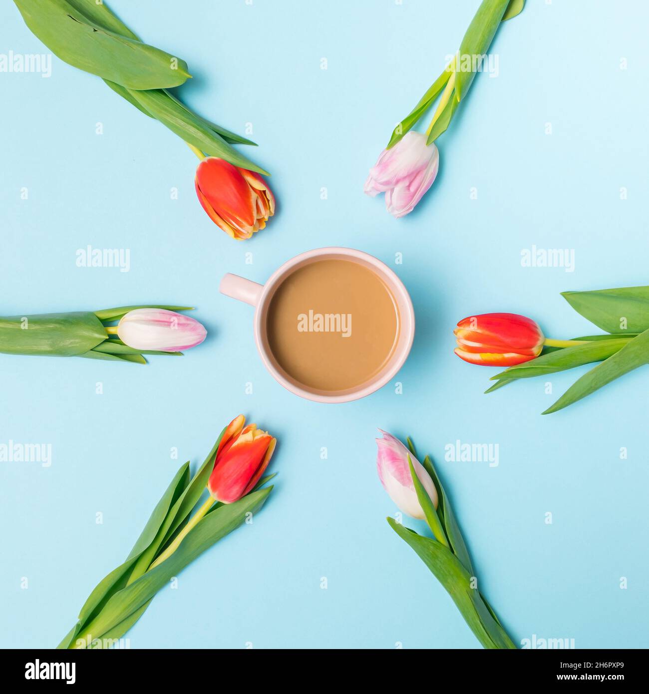 Arrangement de printemps créatif fait de tulipes roses et rouges autour de la tasse de café.Composition pastel minimale. Banque D'Images