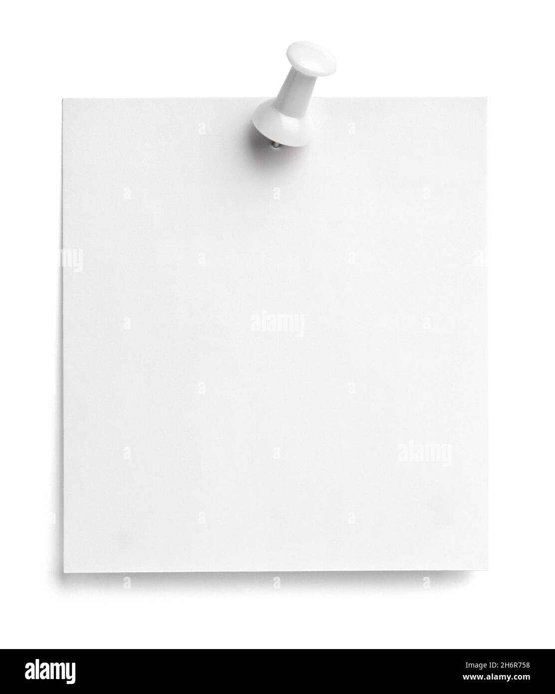 notez le message « punaise » sur papier rouge blanc noir Banque D'Images